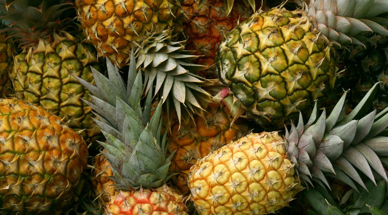 Ananas